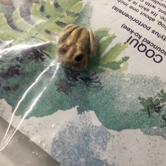 Frog pin - Picture 3 of 3